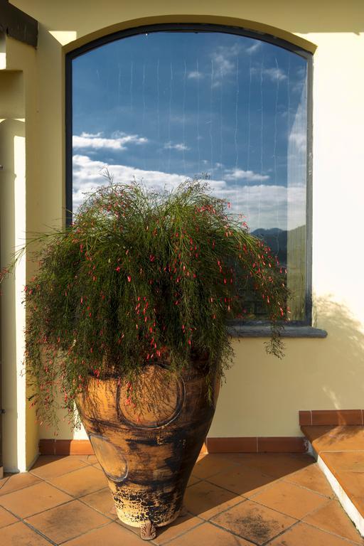 B&B Il Trebbio Corsanico-Bargecchia Buitenkant foto